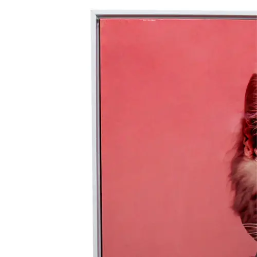 Cuadro diseño gata con traje rosa elegante