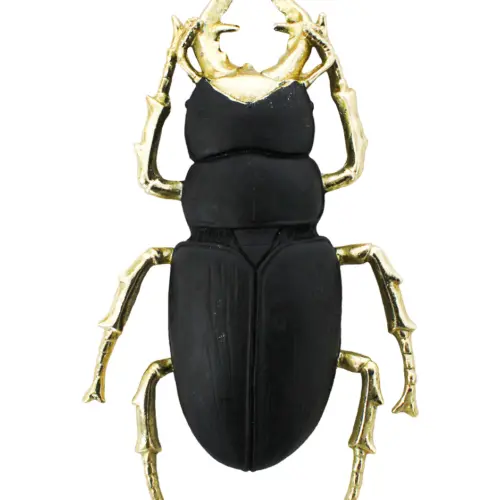 Escarabajo de poliresina negro con dorado de 26.5x15x4.5cm