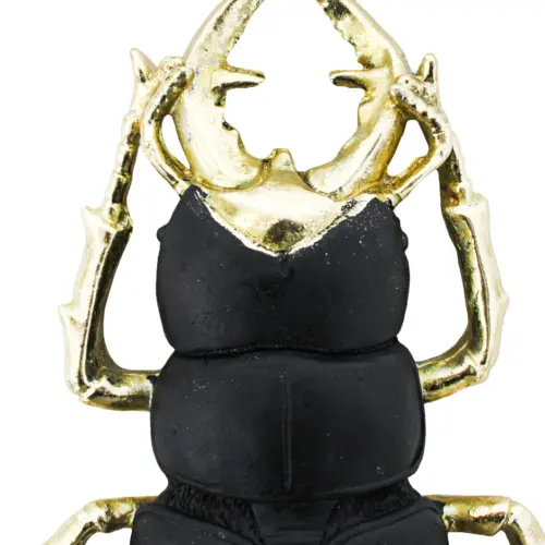 Escarabajo de poliresina negro con dorado de 26.5x15x4.5cm