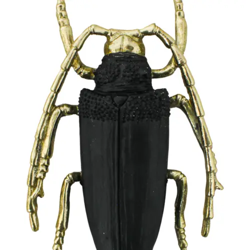Escarabajo de poliresina negro con dorado de 24.5x17x4cm