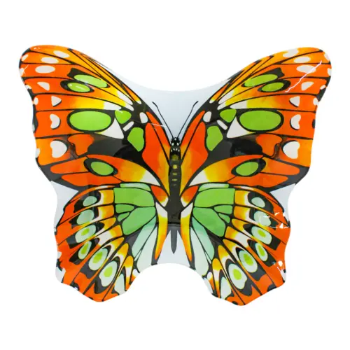 Plato diseñó mariposa de 23.7×28.5×2.4cm
