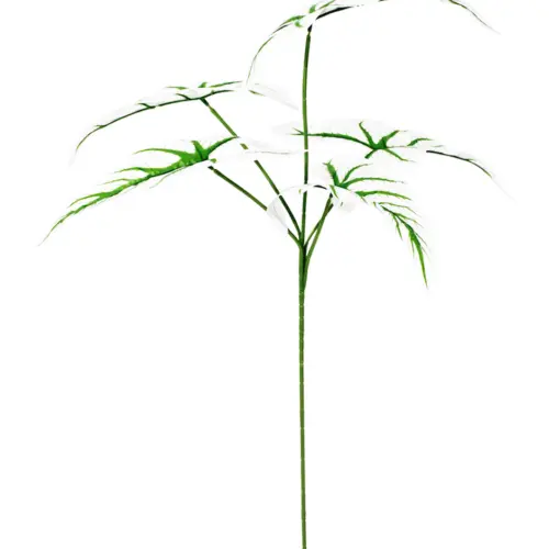 Vara de hojas blancas con rayas verdes de 26x73x0.1cm