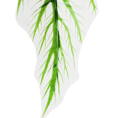 Vara de hojas blancas con rayas verdes de 26x73x0.1cm