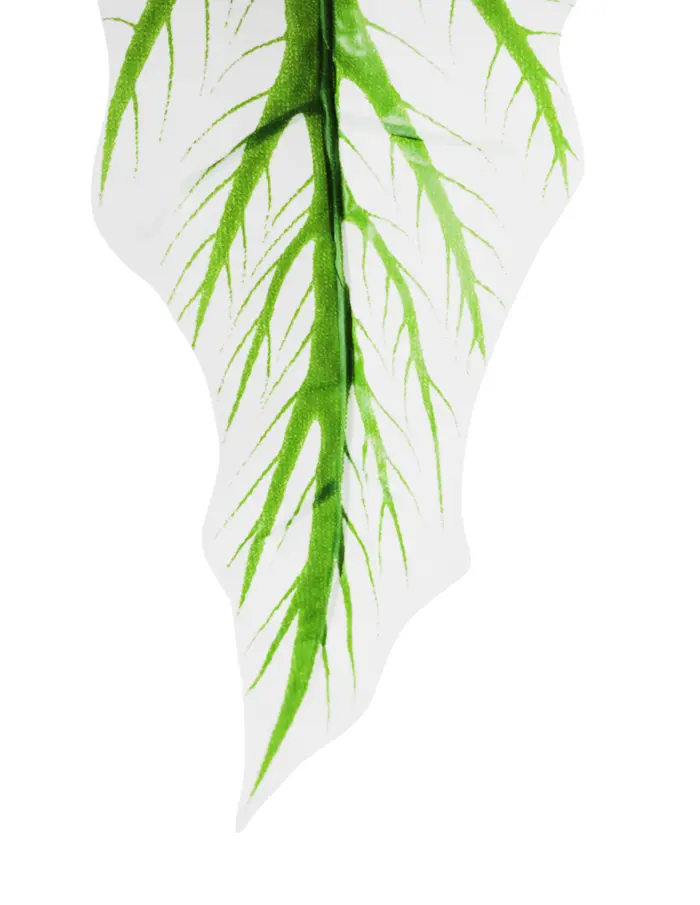 Vara de hojas blancas con rayas verdes de 26x73x0.1cm - Image 2
