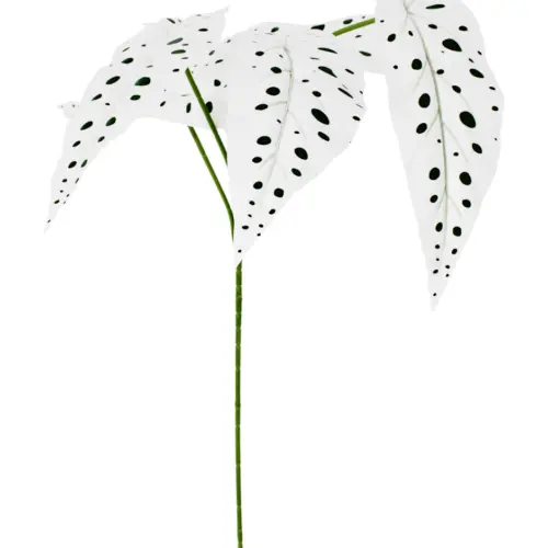 Vara de hojas blancas con puntos verdes de 26x73x0.1cm