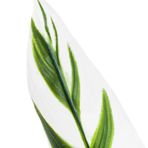 Planta artificial de hojas gaspeadas con maceta 15x15x140cm