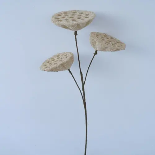 Vara con flor de loto de latex beige de 20x20x63cm