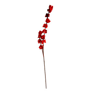 Vara desértica roja con botones de 108cm