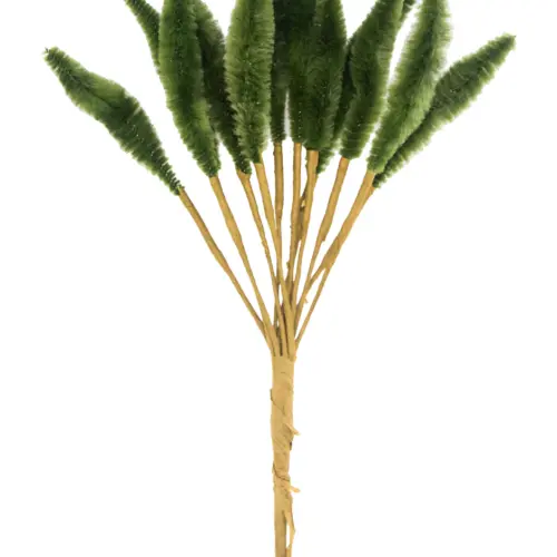 Pick de pampa verde oscuro de 6x16x2cm