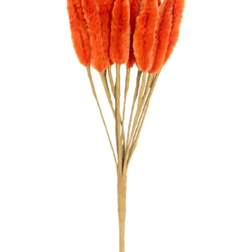 Pick de pampa naranja de 6x16x2cm