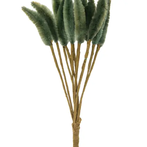 Pick de pampa verde olivo de 6x16x2cm