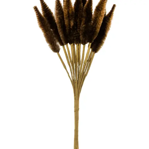 Pick de pampa cafe de 6x16x2cm