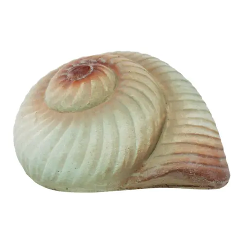 Decoración diseñó caracol de 16x12x10cm