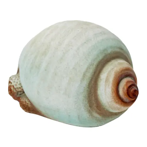 Decoración diseñó caracol de 18×12.5×9.5cm
