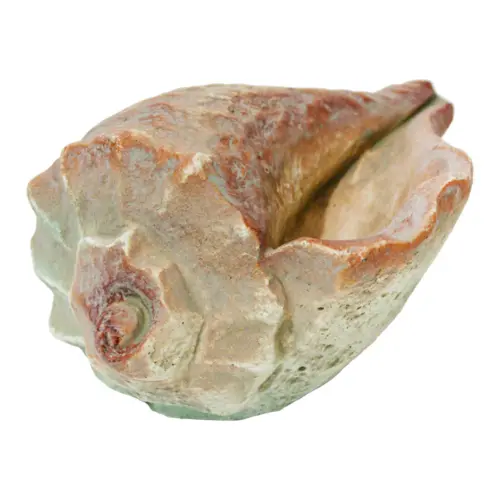 Decoración de cemento diseño caracol de 16.5x11x9cm