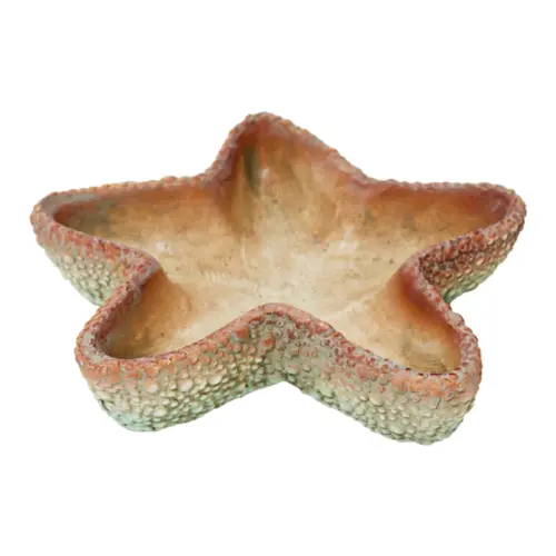 Decoracion de cemento diseño estrella de mar de 23×21.5x5cm