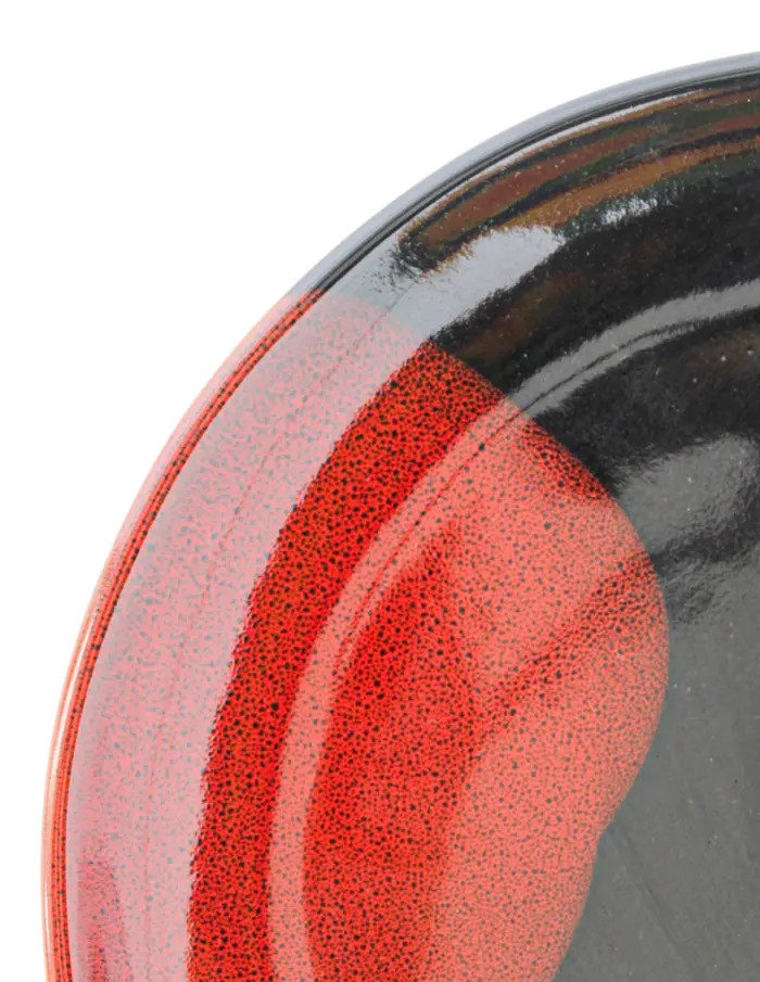Plato de porcelana negra con rojo y azul de 27.4x27.4x2.5cm - Image 4