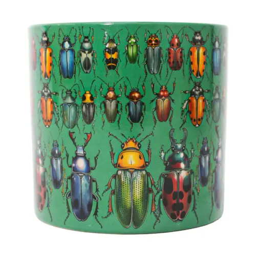 Maceta de ceramica verde con escarabajos de 10.2x10cm