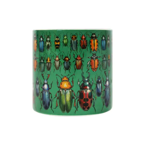 Maceta de ceramica verde con escarabajos de 7x7cm