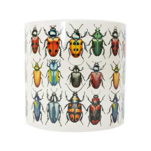 Maceta de ceramica blanca con escarabajos de 7x7cm