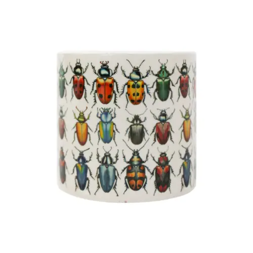 Maceta de ceramica beige con escarabajos de 7x7cm