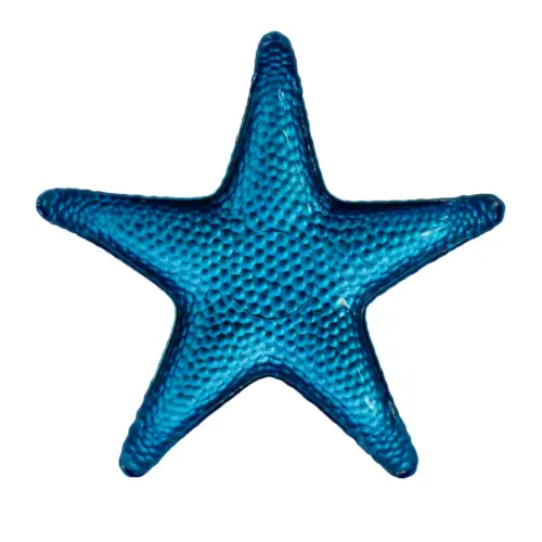 Caracola de mar de vidrio azul fuerte de 21cm