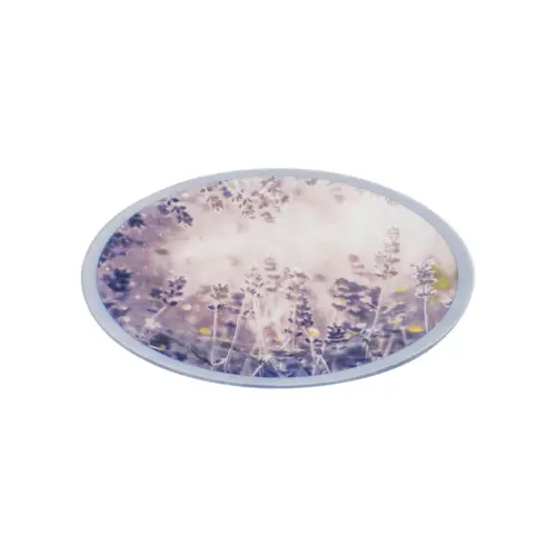 Plato de vidrio diseño