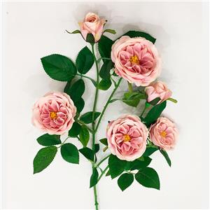 Vara de rosas rosa claro