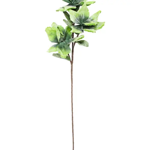 Vara de flor de estrella de latex verde de 20x100x0.1cm