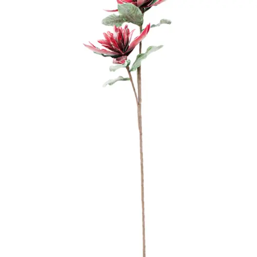 Vara de flor de estrella de latex vino de 15x96x0.1cm