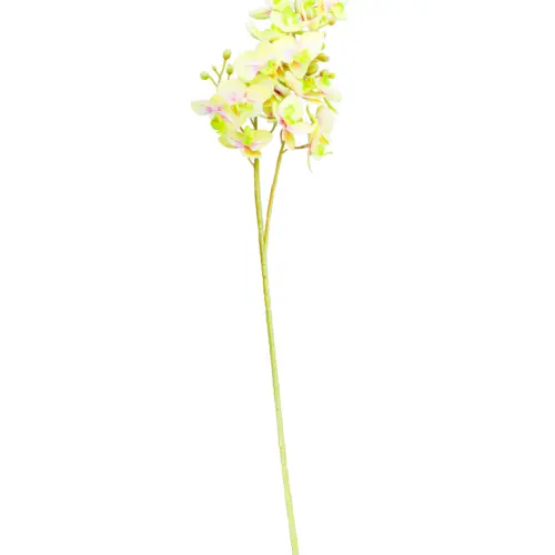 Vara de orquideas amarillas de 15x75x0.1cm