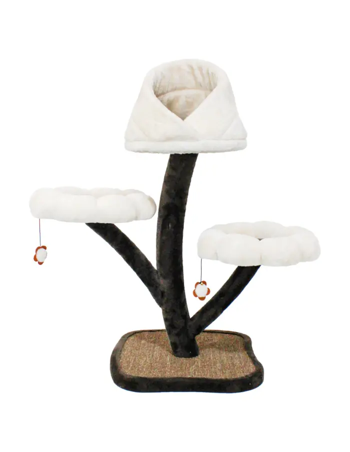 303001736661-galerias el triunfo