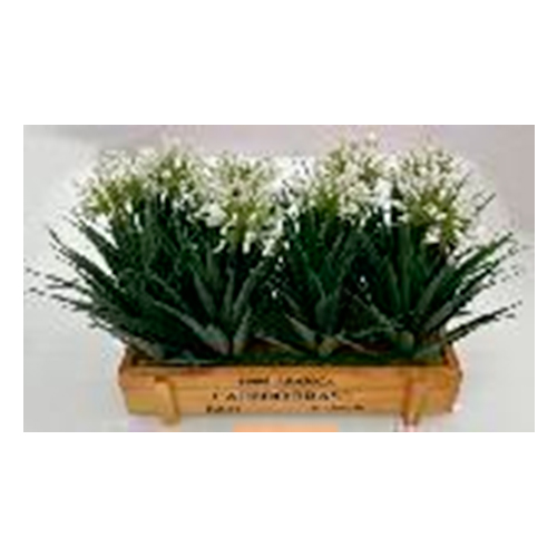 Maceta de madera con flores blancas de 9.5×22.5x18cm