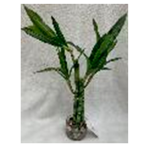 Maceta con bamboo artificial de 7x7x42cm