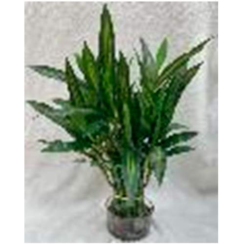 Maceta con bamboo artificial de 9.5×9.5x42cm