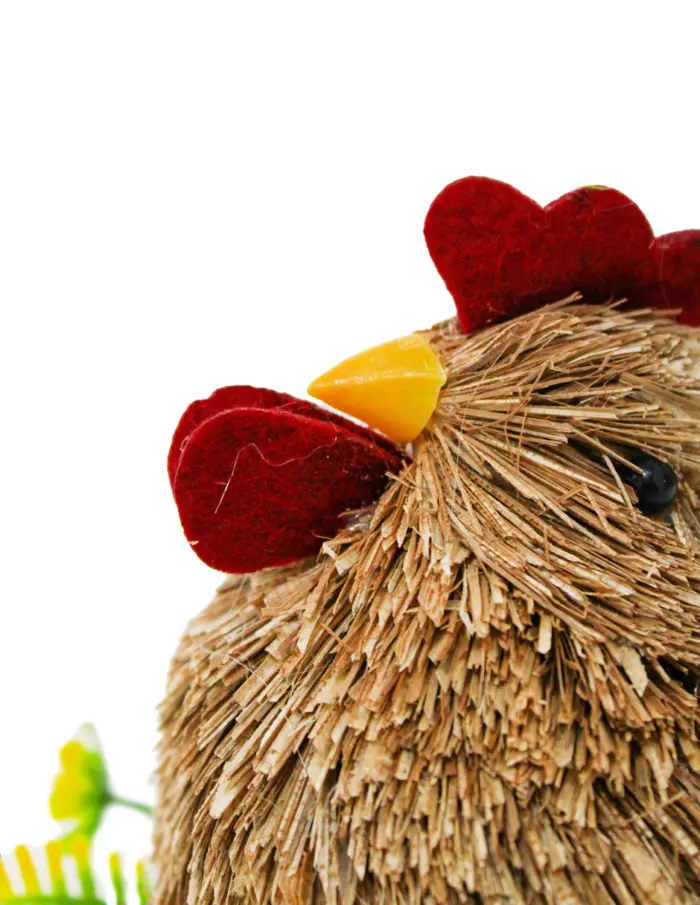 Gallina de fibras naturales - Image 3