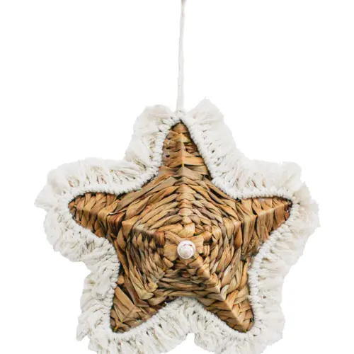Estrella de mar de 26.5×26.5×5.5cm