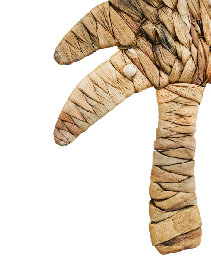 Palmera de 21x24x2cm - Image 3