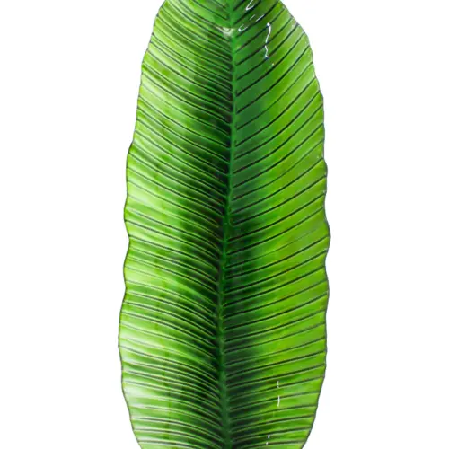 Plato de melamina diseño hoja larga verde de 19x48x3cm