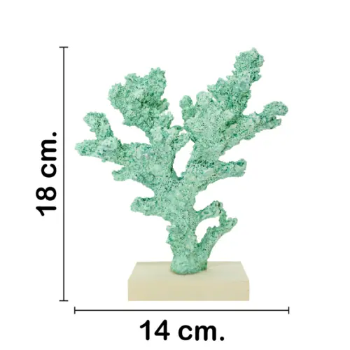 Coral verde en base de 14x13x18cm
