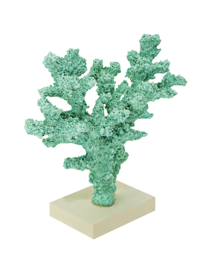 Coral verde en base de 14x13x18cm - Image 3