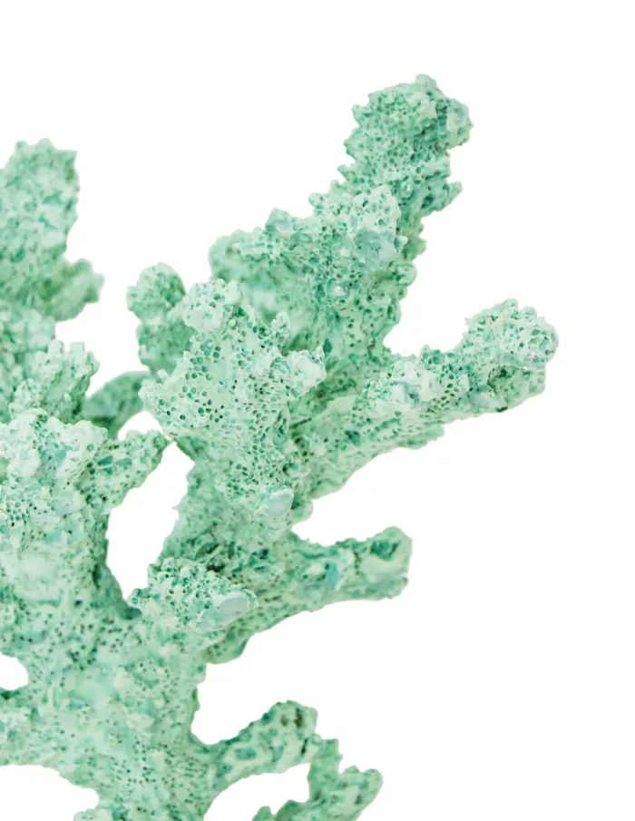 Coral verde en base de 14x13x18cm - Image 4