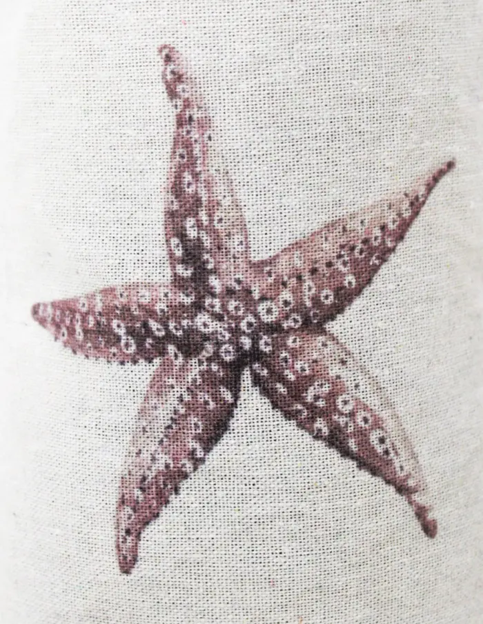 Soporte para puerta estampado estrella de mar de 12x12x26cm - Image 4