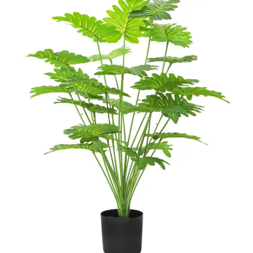 Árbol de hojas verdes