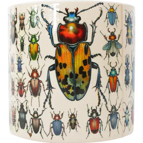 Maceta de ceramica beige con escarabajos de 13×11.1cm