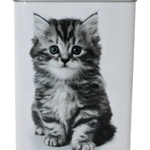 Caja blanca de lámina estampado gato de 17x9x24cm
