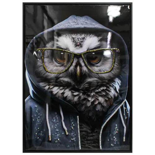 Cuadro con búho y lentes de 52.5×72.5×2.8cm