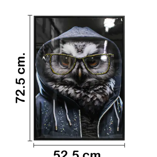 Cuadro con búho y lentes de 52.5×72.5×2.8cm