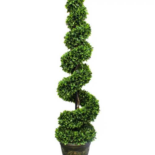 Arbusto verde en maceta diseño espiral