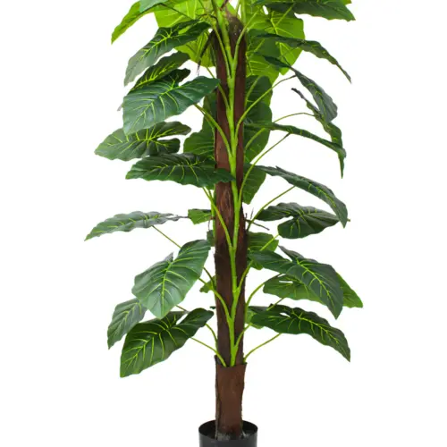 Palmera de 100cm